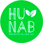 Hunab Proyecto de Vida