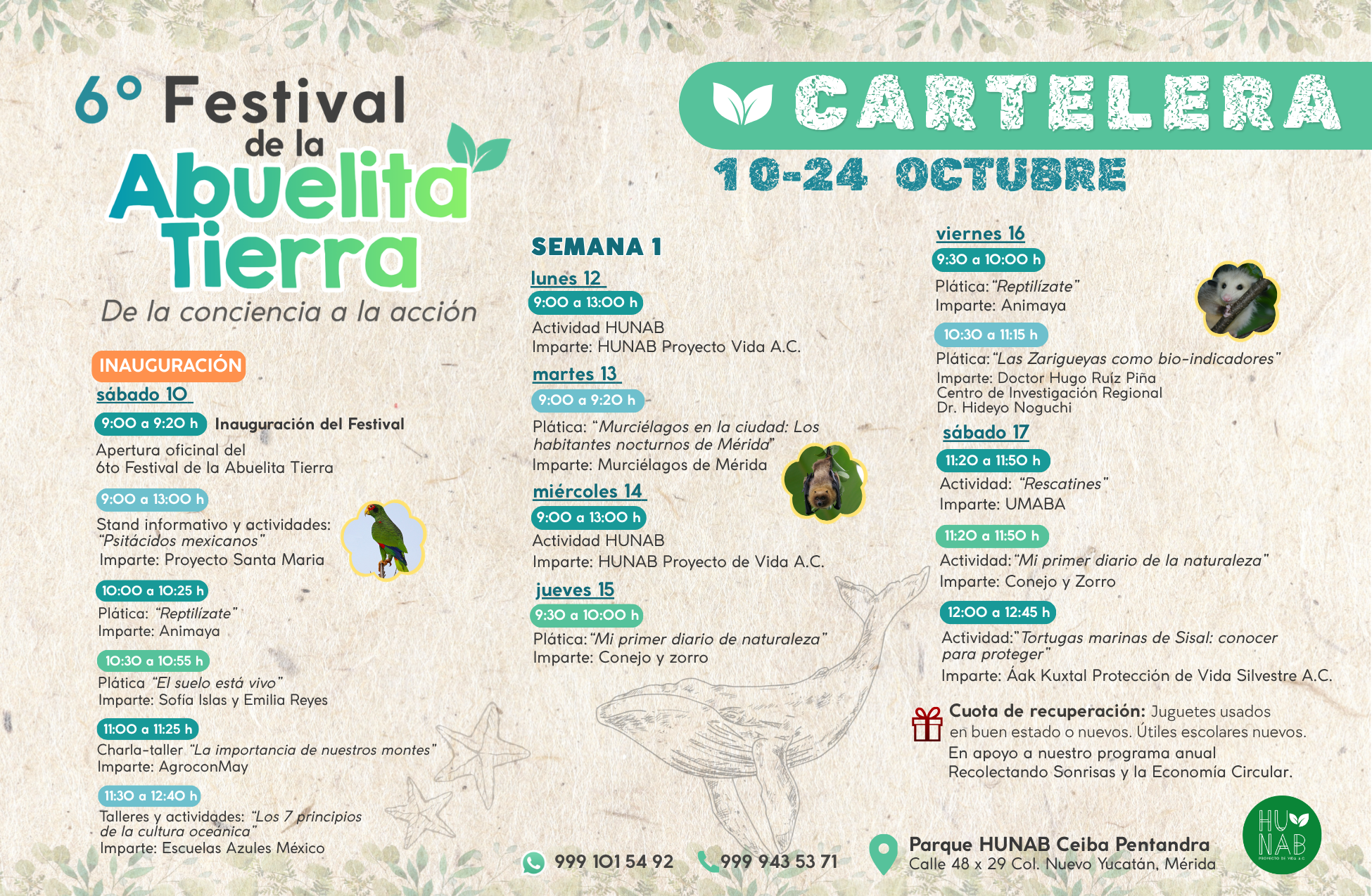 Cartelera